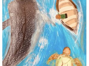 Kaarten Collectie 2025 – Walvisboot