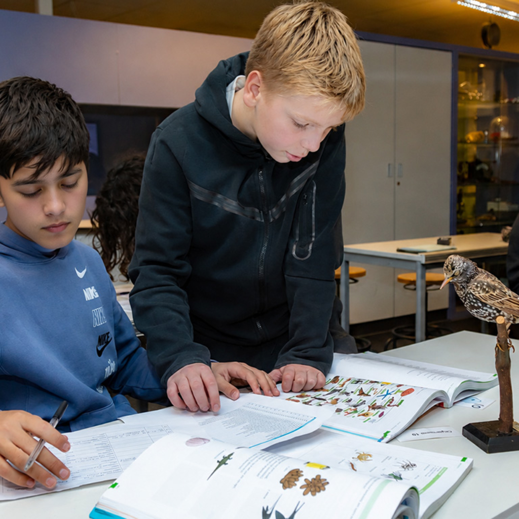 Biologie les - HAVO / VWO - Pieter Nieuwland College Amsterdam Oost